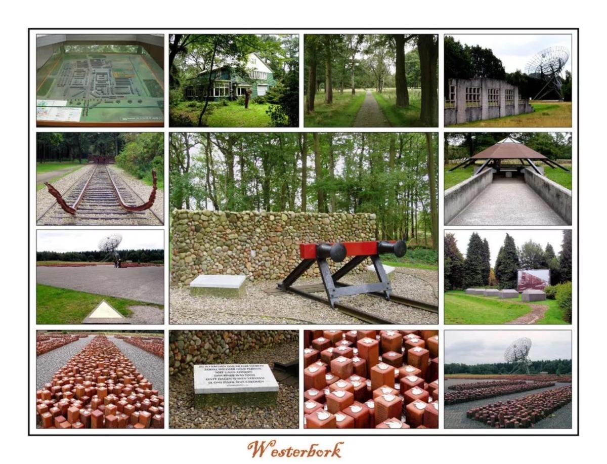 Mini Camping Drentse Monden Nieuw-Weerdinge エクステリア 写真