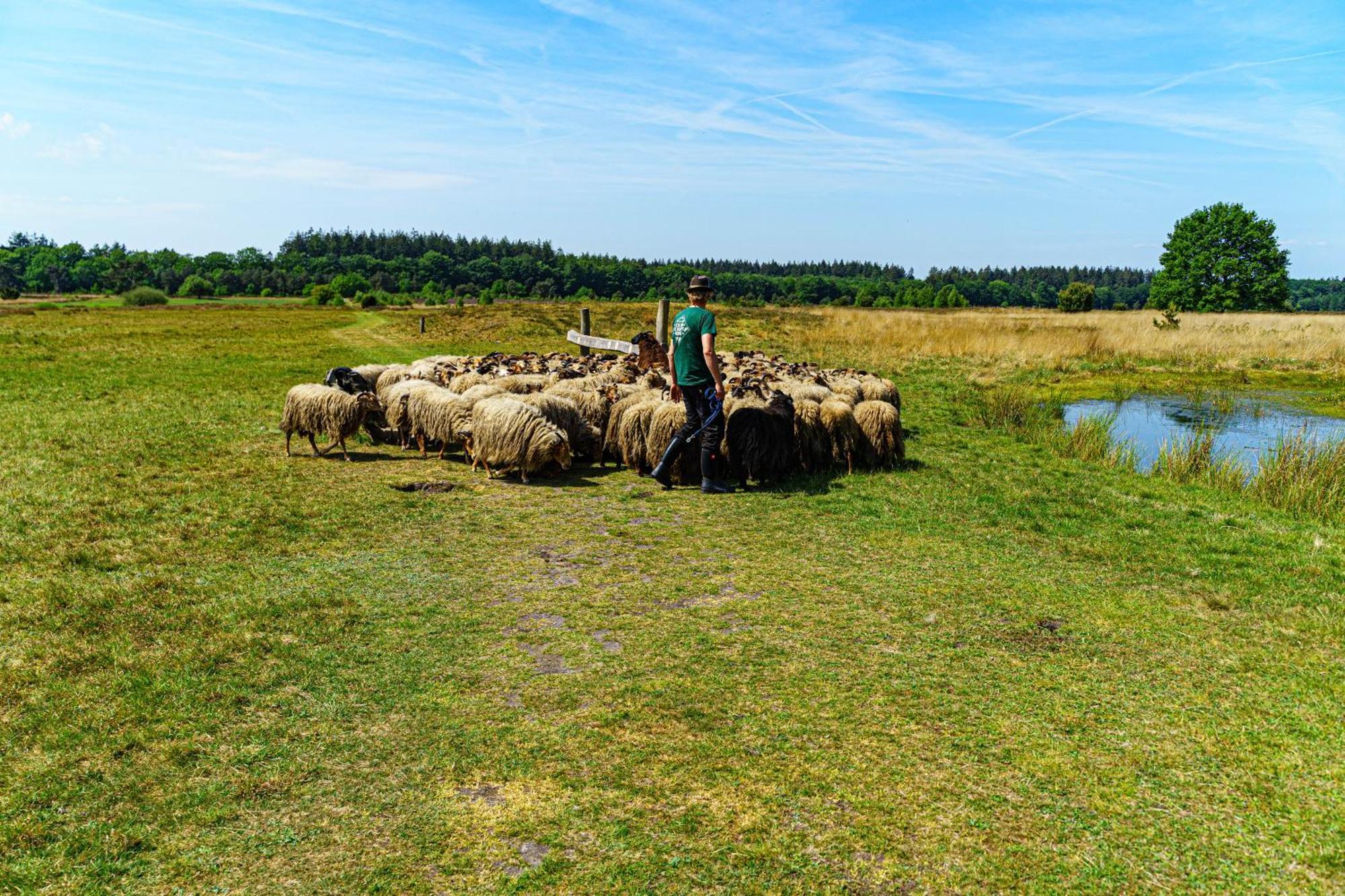 Mini Camping Drentse Monden Nieuw-Weerdinge エクステリア 写真