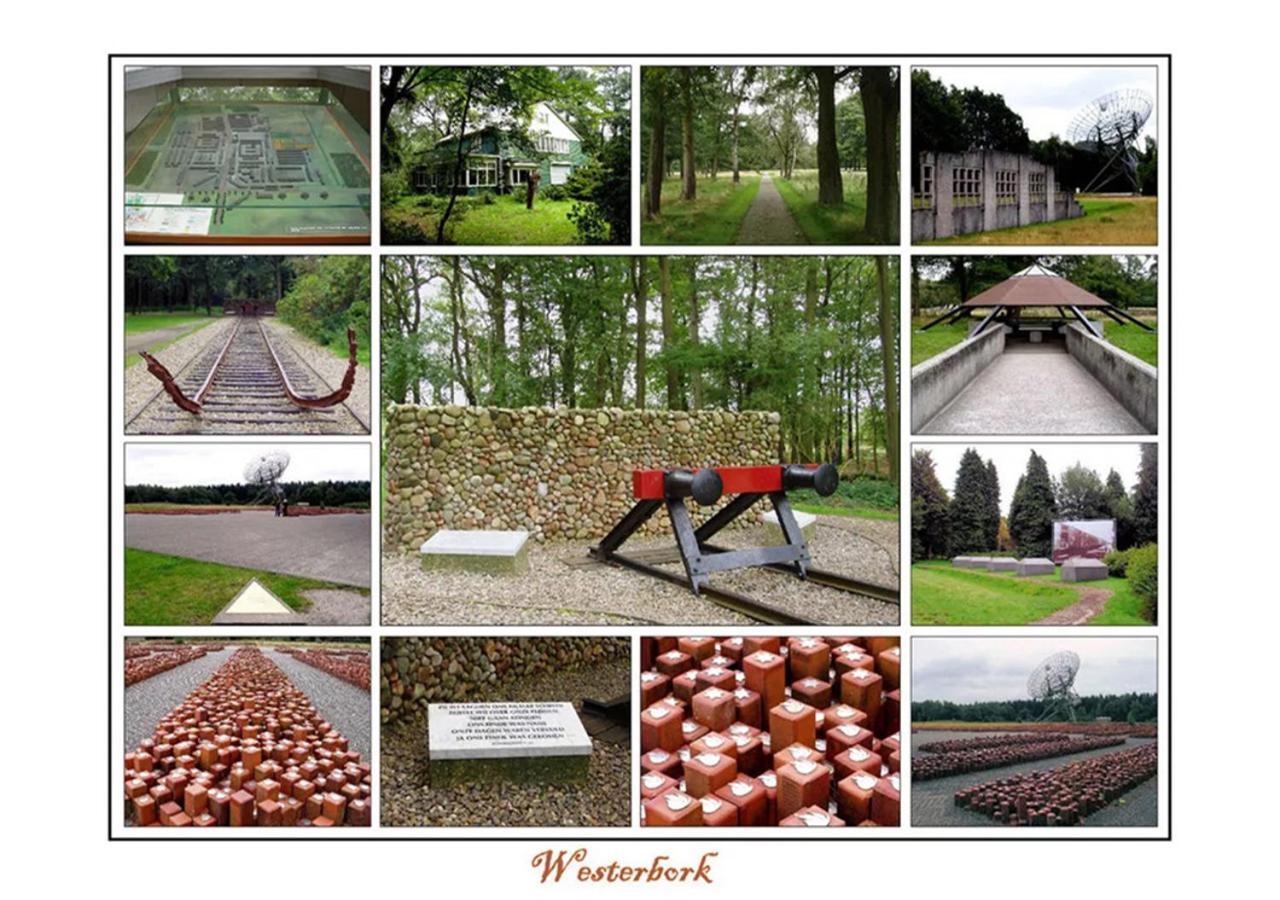 Mini Camping Drentse Monden Nieuw-Weerdinge エクステリア 写真