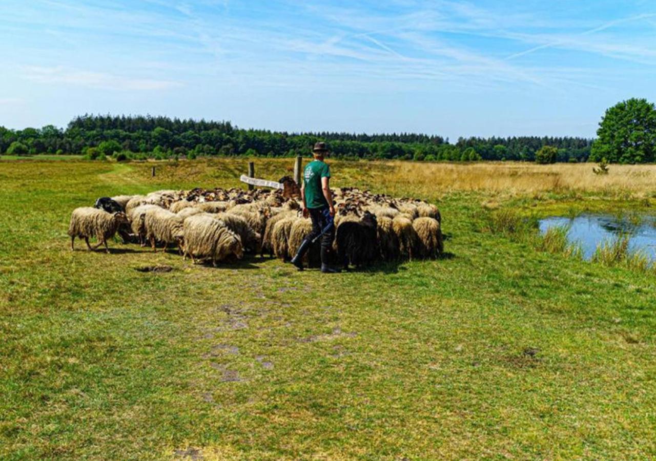Mini Camping Drentse Monden Nieuw-Weerdinge エクステリア 写真